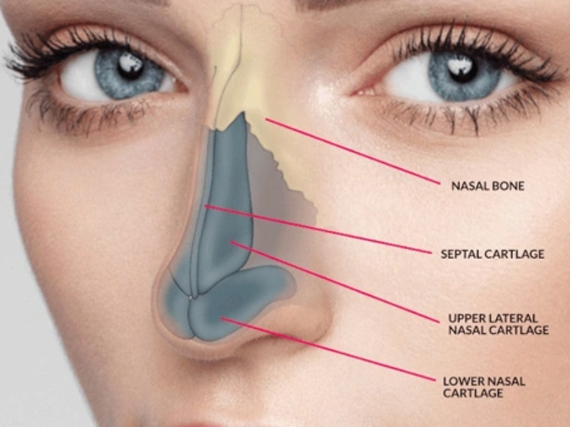 Rhinoplasty Specialist in Delhi